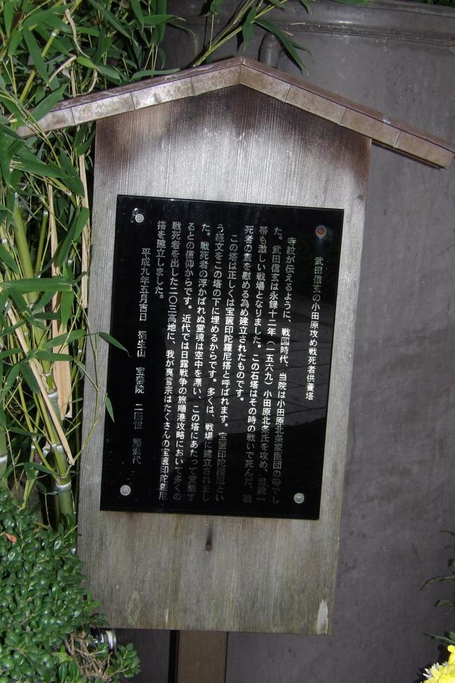 ãæ­¦ç°ä¿¡çã®å°ç°åæ»ãæ¦æ­»èä¾é¤å¡ãã