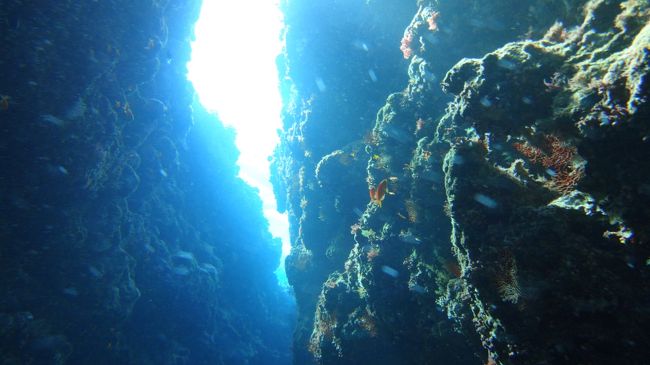 那覇の泊から出港して1時間ちょい。<br />結構揺れます。台風が台湾のあたりにいたので影響をうけたのかもしれません。<br />天気は晴れでしたが。<br /><br />1本目　六番崎　座間味島付近。