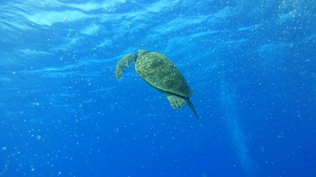 結構幻想的でちょっといいカンジに撮れた！きがする。