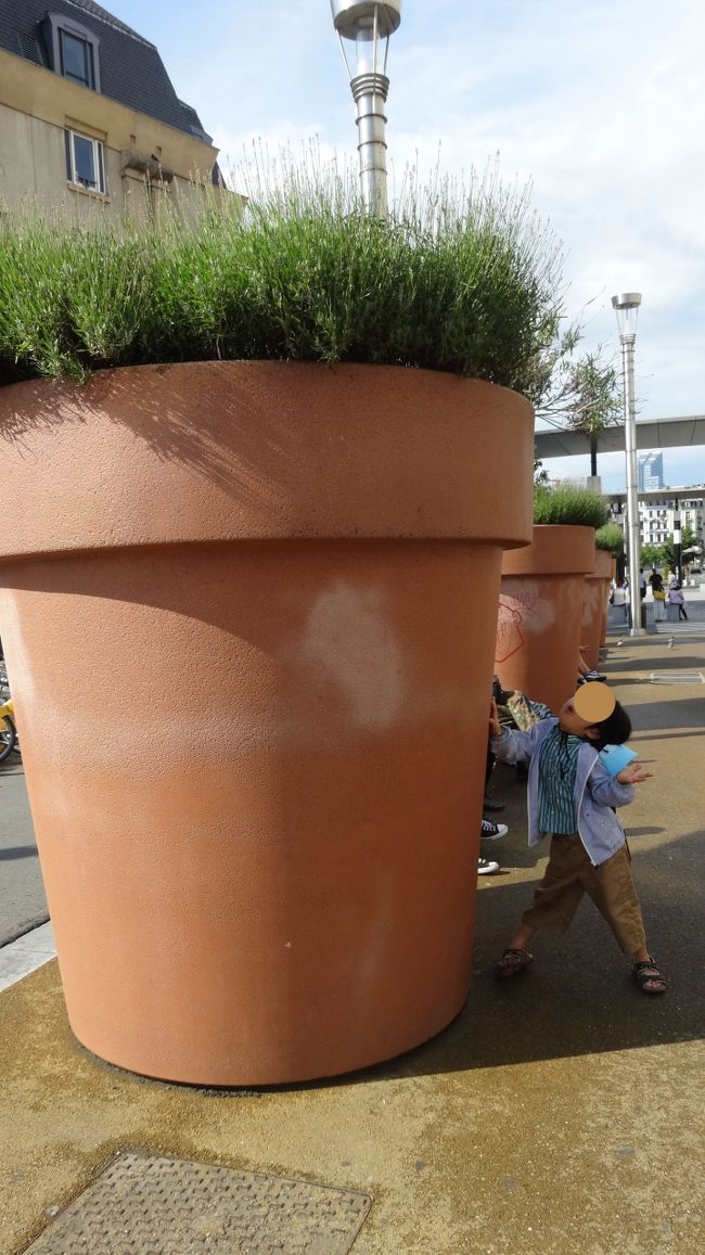 植木鉢、でかっ！