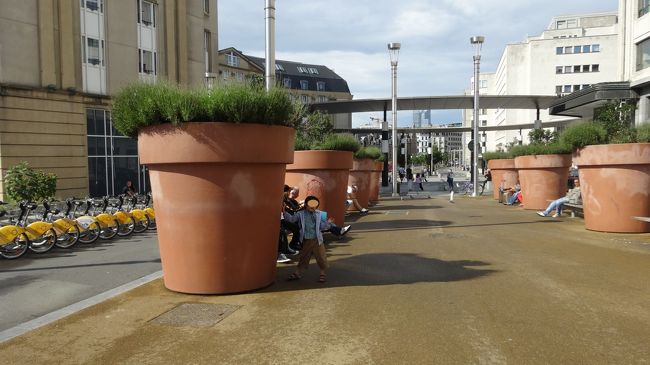 蟻から見た世界、こんな感じ？