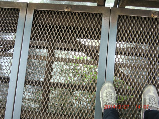 足下はこんな感じです。全てケーシングで作られています。