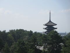 屋上から見える、興福寺の五重塔の風景が大好きです！