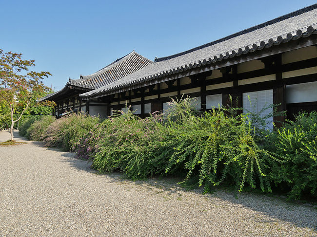 国宝・禅室ー僧坊の裏手