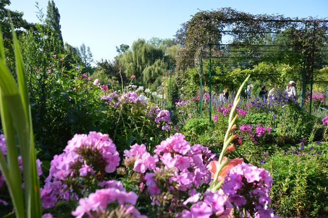 庭の様子。結構人が多かった。