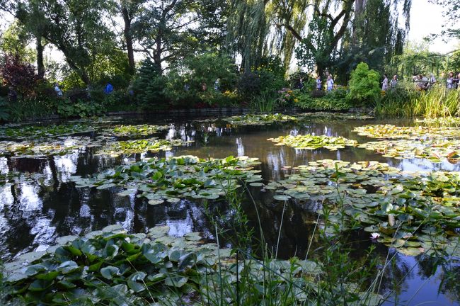 有名な睡蓮の池にたどり着く。人の多さと光の関係でいい写真が撮れない。