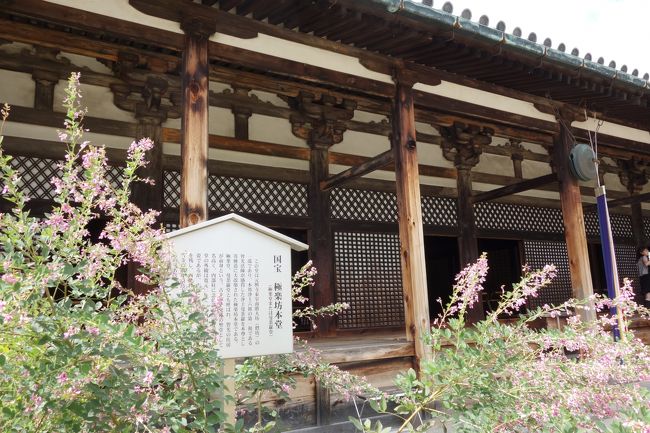 夏から秋へと向かうこの時期は、夏秋二つの季節の花を楽しむことが出来る。