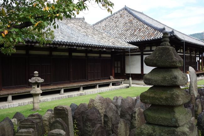 元興寺 極楽堂（右の建物）と隣の禅室は、いずれも国宝。<br /><br />写真では分かりにくいが、灰色の屋根の一部に、茶色いような赤いような微妙に色の異なる瓦の葺かれている面がある。<br /><br />行基葺(ぎょうぎぶき)とよばれ、元興寺の前身である飛鳥、法興寺の屋根に葺かれていた1400年前の瓦が所々に混じっているのだとか。<br /><br />唐招提寺にもこんな色合いの屋根がある。<br />良い屋根だ。本当に美しい。
