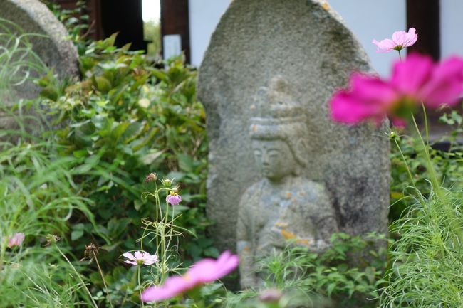 コスモスに埋もれるようにたたずむ石仏。<br />グレーの石肌にコスモスのピンクが映える。