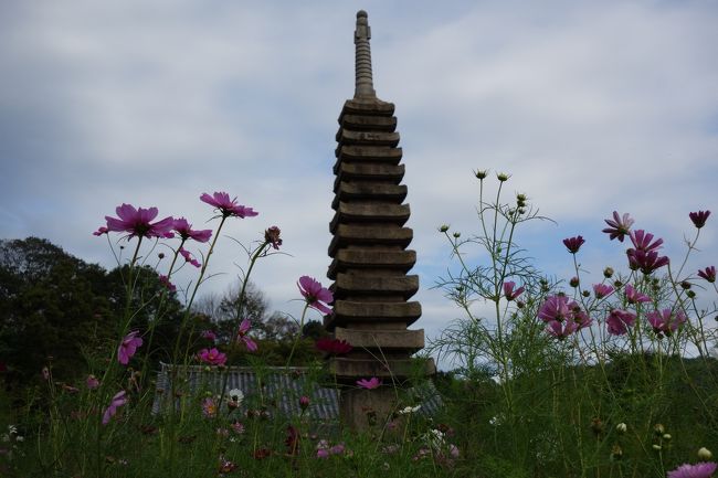 阿弥陀如来像は、1964年の大修理の際に、十三重石塔の内部から見つかったのだとか。<br />40センチほどの金銅仏で、貴重な錦の布に包まれ、木箱に納められていたそうだ。<br />持統天皇の念持仏を聖武天皇が納めたものではないかとされる像で、800年の眠りから覚めた今も、金の鍍金が残り、特に大切に扱われていたかことが伺われる。<br /><br />頭でっかちで、手が大きい。幼児体型だが顔立ちは知的で思索的な大人顔。<br /><br />写真の石塔の中に納められていたのだと思うと、特別の感慨がある。<br />