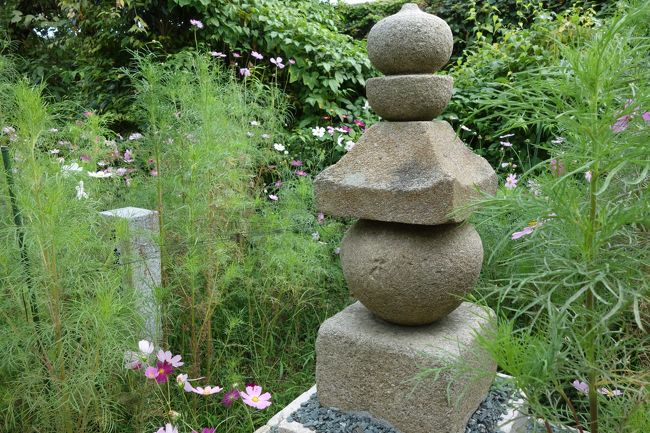 楼門（国宝）のそばの平重衡供養塔。<br />周りのコスモスは、ちらほら。