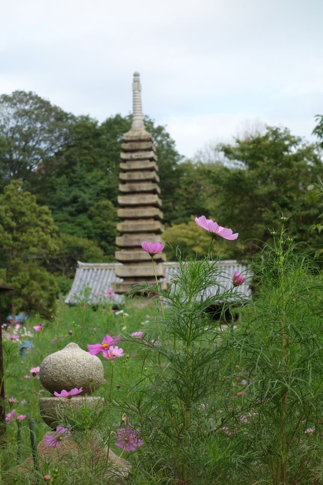 平重衡供養塔越しに十三重石塔