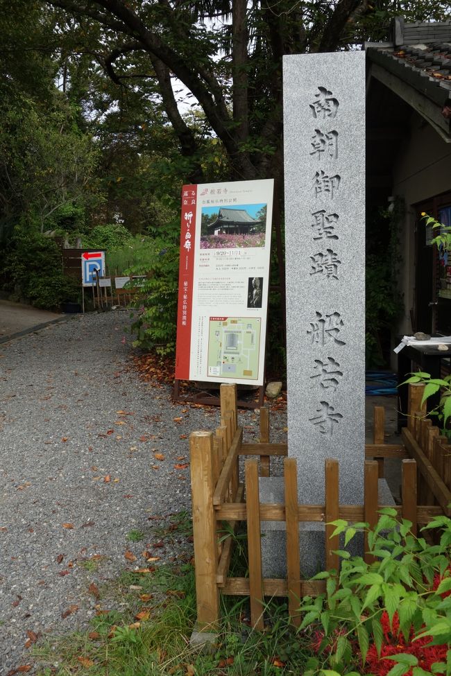 般若寺。<br />コスモスの寺として有名だ。<br />幾度も訪れているが、観光客の押し寄せるという秋の般若寺は初めて。<br /><br />花は五分咲きとのこと。さて、どんな具合か。