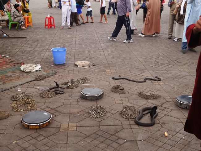 フナ広場のコブラ遣い。写真を撮っているとめざとくみつかってチップを要求されます。爬虫類は苦手なので近くまで行けず・・・。う〜ん気持ち悪い。