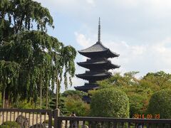 東寺。
土日祝のみ運行されているバスで行きました。
誰も乗ってなくて、ちょっとビックリ。