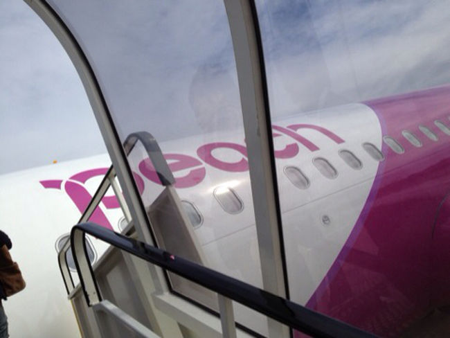 ピンクの飛行機