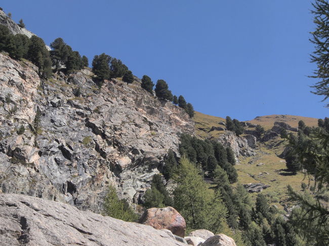 上を見れば巨岩がゴロゴロ。<br />このあたりも昔は氷河だったんだろうね。<br /><br />あの巨岩の上の方から降りてきたんです。<br />割りにキツイ下りでした。<br />この傾斜の急なところを登ってくる人も結構いるんですよね。<br />登ってきたスイス人カップルと少しおしゃべり。<br />この人たちとは次の日も出会ったんです！