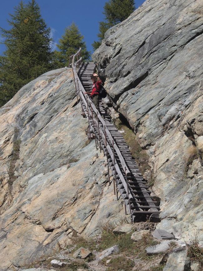 偵察に行った主人がおいでおいでをしてる・・・。<br /><br />え〜ヤダ。行かない。<br />だって絶対この先も登りがたくさんあるに決まってる。<br /><br />今、考えてみると行ってみればよかったなあって思う〜。<br />自分で自分を縛っちゃいけないよね。<br /><br />後から来たグループはこの道を行き、この先の吊り橋のあたりでまた出会いました。