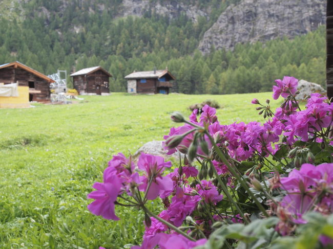 フーリはもうそこ。<br />牧草地も平らになってきました。
