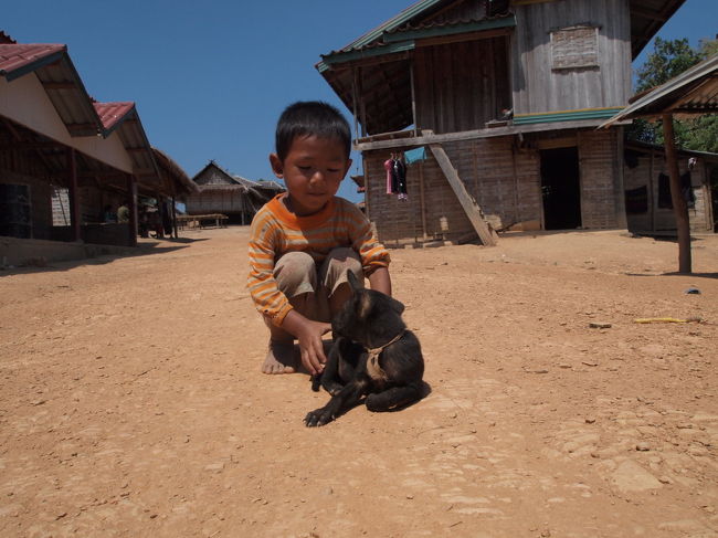 こどもも子犬もかわいい！