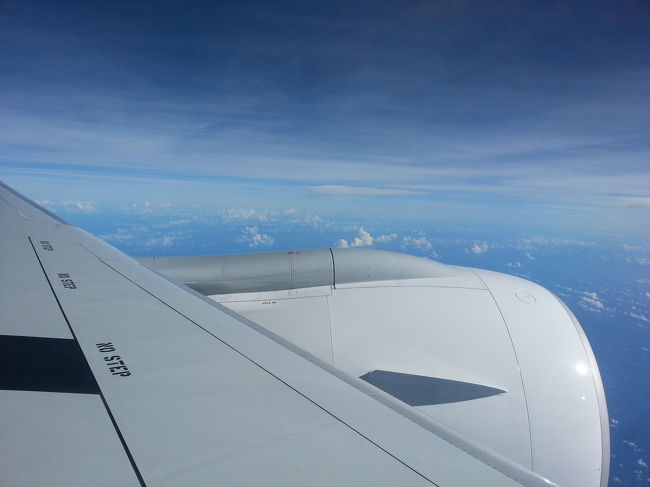 飛んじゃいました。(>_<)