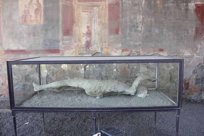 ヴェスヴィオ火山が噴火して　火砕流に巻き込まれた市民は一瞬のうちに<br />全員が生き埋めになった。後に発掘されたときには遺体部分だけが腐ってなくなり、<br />火山灰の中に空洞ができていた。ここに石膏を流し込み、死んだときの形を<br />再現したもの