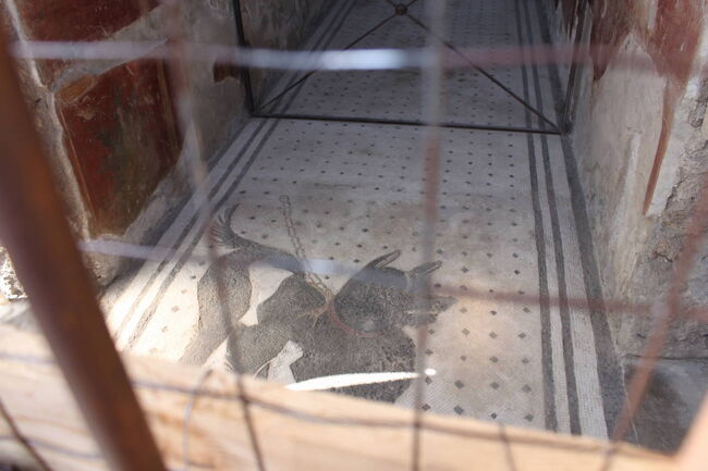 悲劇詩人の家　<br />床に番犬のモザイクがあり「猛犬注意」と書かれている