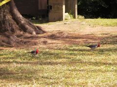 Hanalei Beach Park　ハナレイ・ビーチ・パーク