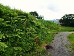 「安倍屋敷跡」については、前もって全く情報がなく知らなかったのですが、少しだけお濠の跡や、約４００年前に安倍氏の養子となった人が、甲州より勧請した古い社があったようです。

もっと探してみればよかったのかもしれないけれど、この時にはどこにどんなものがあるのか知らなかったので、まぁ仕方ないかな・・・。

またの機会にでも・・・。