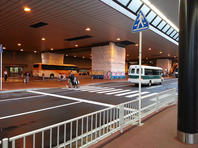 蒸し暑い！(^o^)