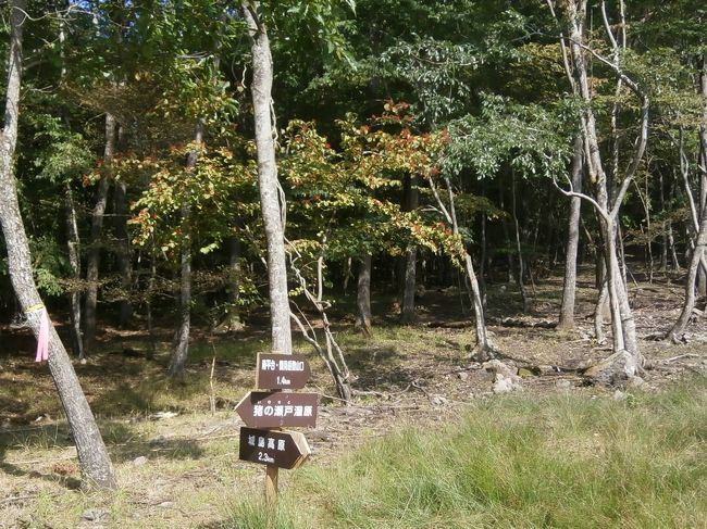 此処で湿原と鶴見岳に分かれる