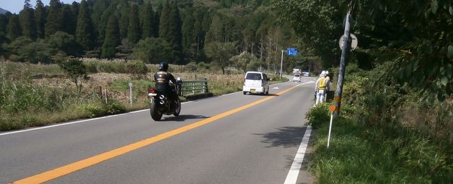 湿原は県道向い