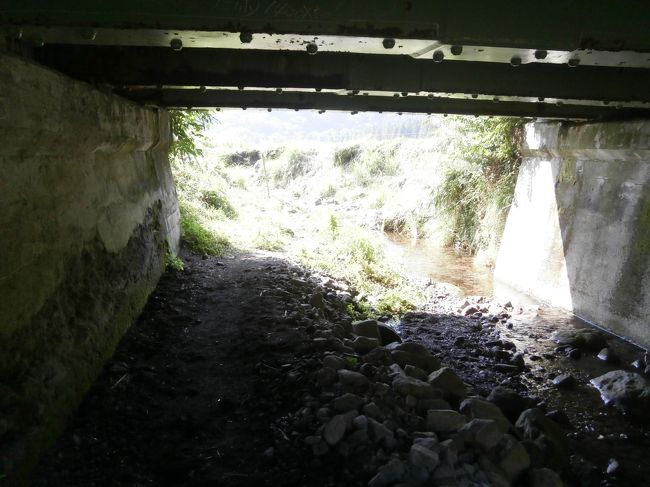 橋の下を通り抜け