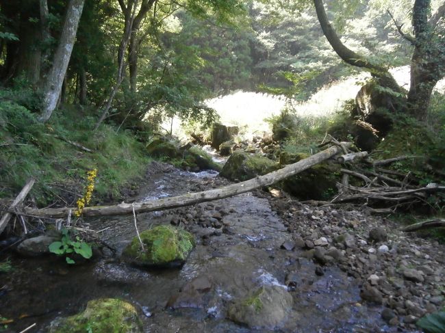 強引に沢を横断