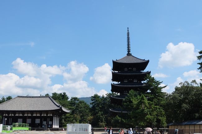 五重塔が見えてきました！