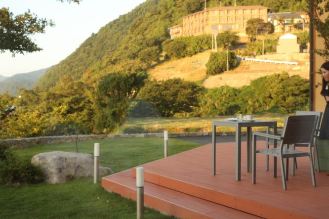 いい天気なので外も良さそうです。