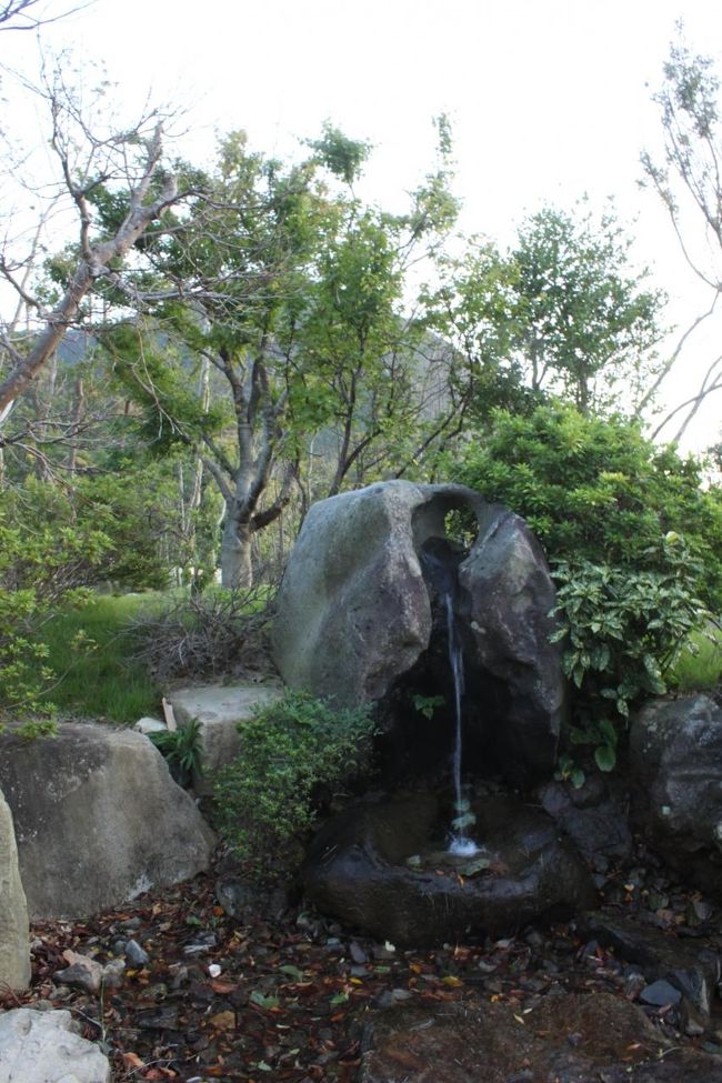 なんと日本庭園です。