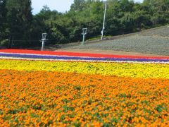 中富良野フラワーパーク