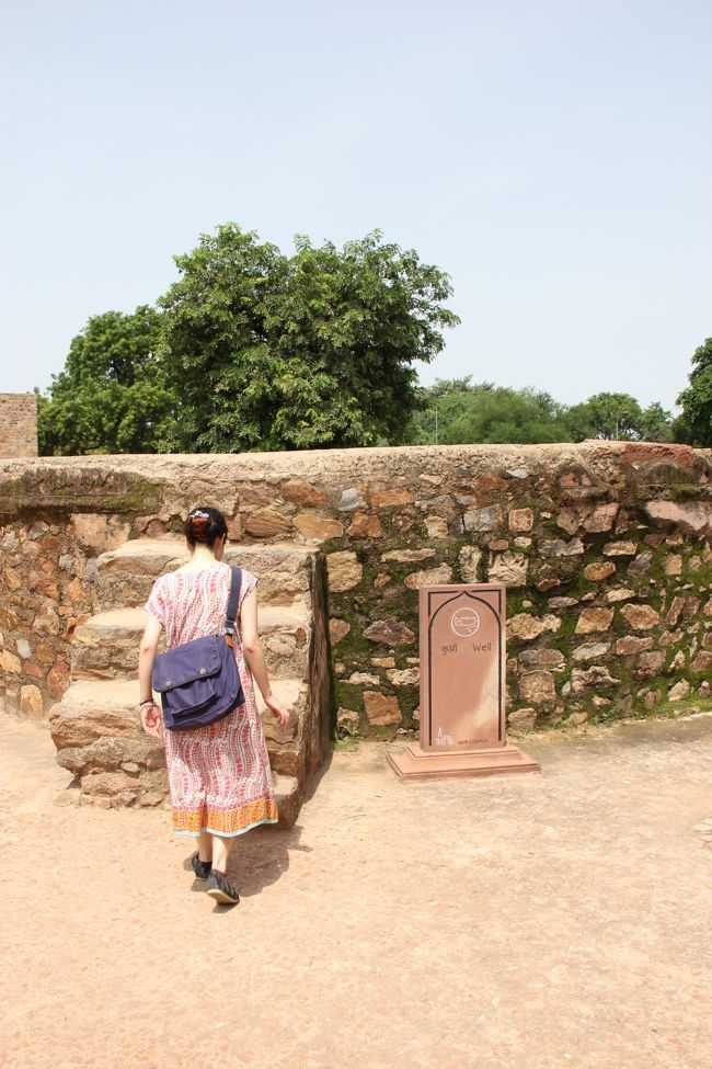 のぼってみます。