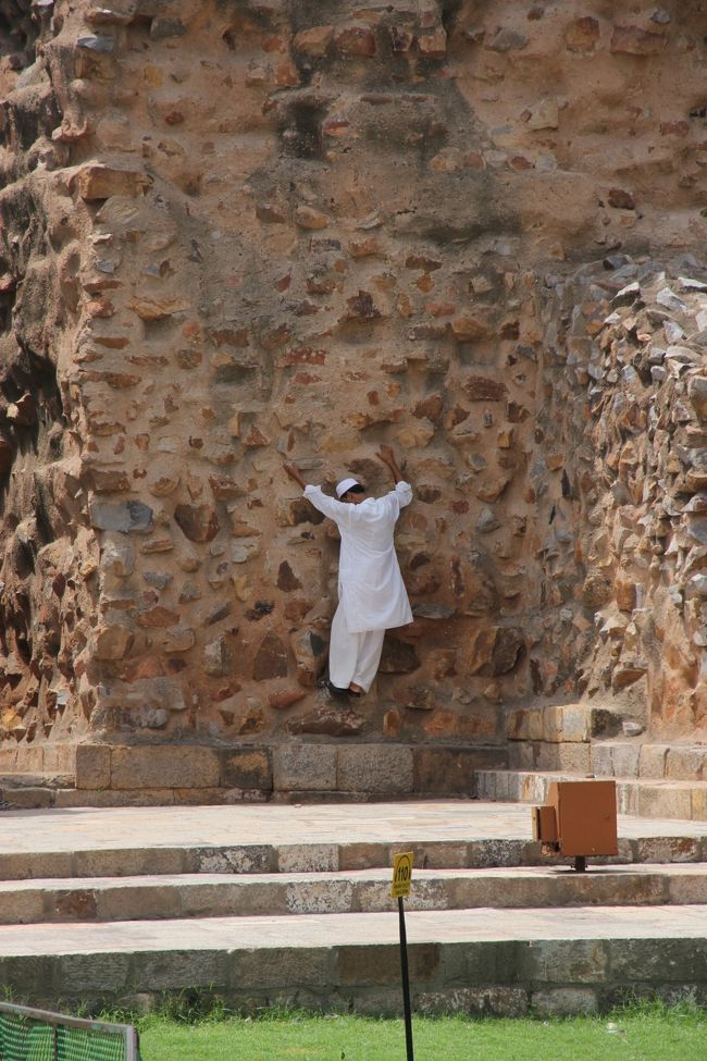 登ってる･･･。