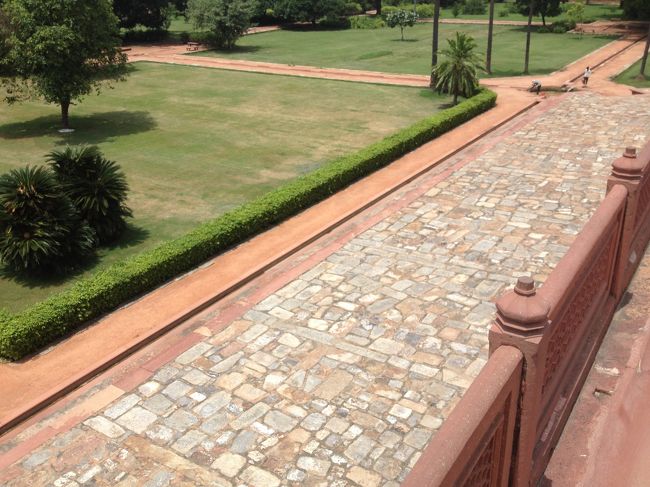 芝生も暑そう･･･