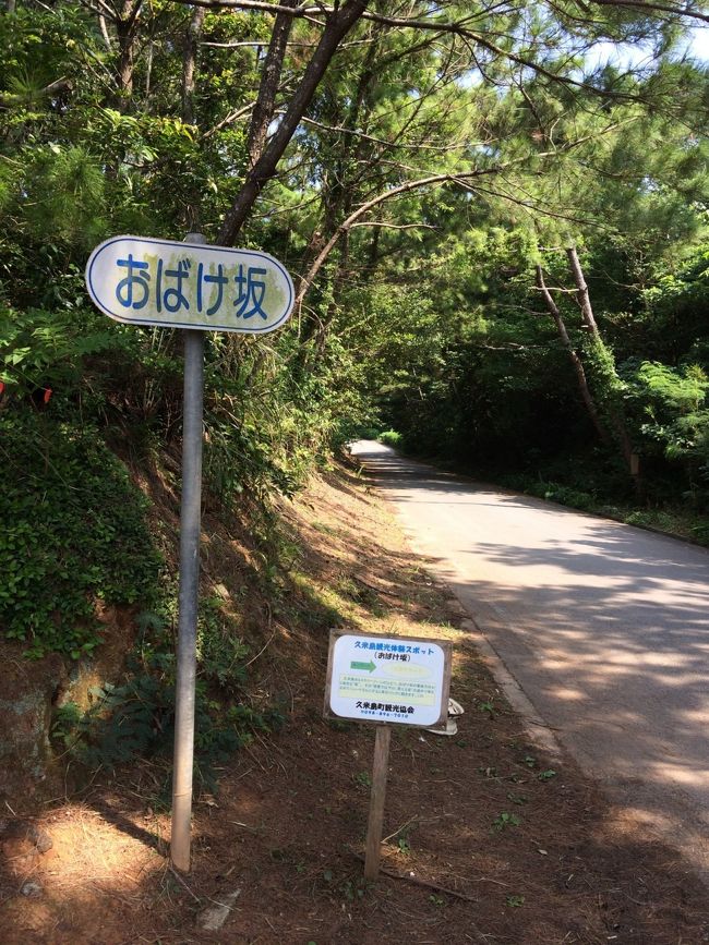 おばけ坂。錯覚で下りが上り坂に見える。変わった場所。