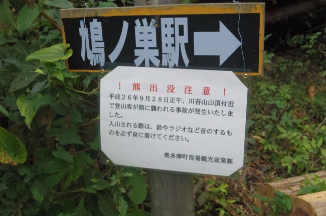 土曜日なのに 人が少なくて寂しかった本仁田山 ほにたやま 奥多摩 東京 の旅行記 ブログ By 夏への扉さん フォートラベル
