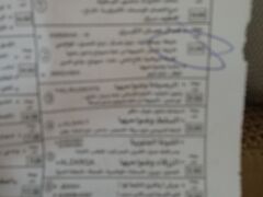 アンマン空港に到着。
機内 お隣は、Jordanの親子でした。「あれが死海だよ」と説明してくれました。
到着後、空港で換金＆SIMを調達。
SIMを買うのに結構 並び、バスを諦めタクることにしました。

タクシーで市街のバス停（ムジャンマ・ジャヌーブ）へ。空港からタクシーは行き先地区毎に固定料金でレシート貰えます。