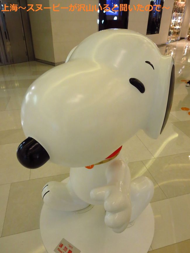 1匹目のスヌーピー発見。