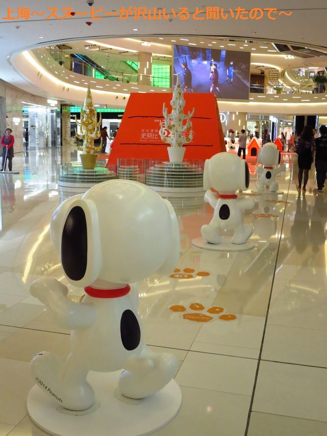 後姿もかわいいなー