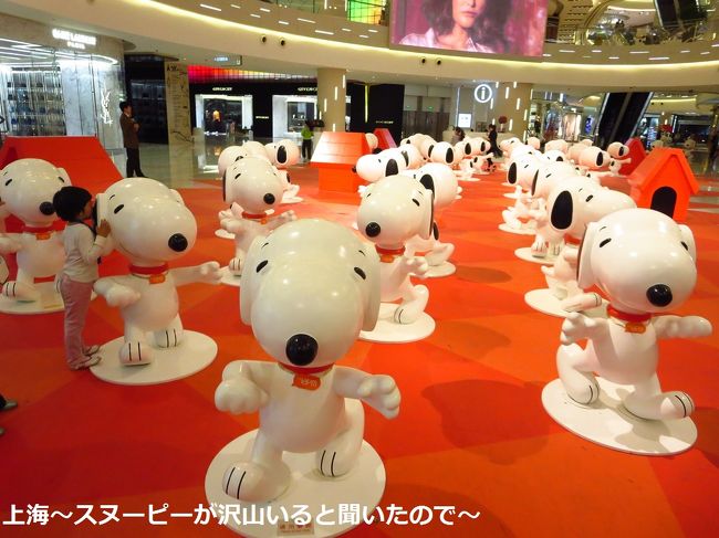 女の子、何しているのかな？って思ったら、スヌーピーに話しかけてました。＾＾