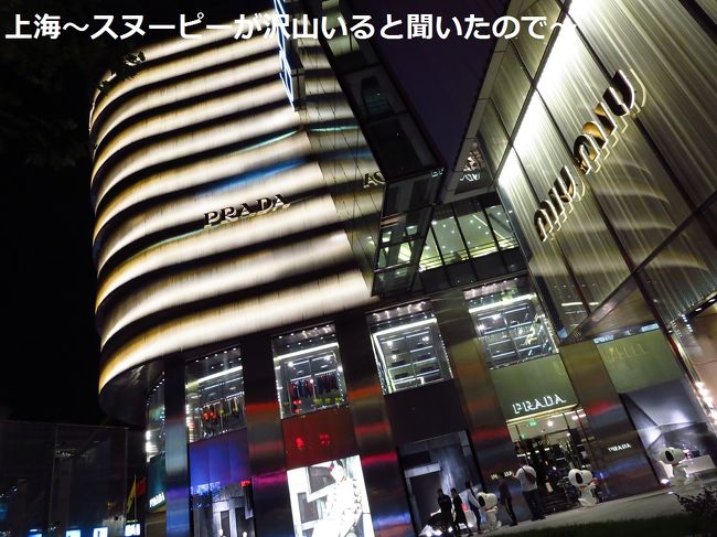 外にもいると聞いていたので、外に出てみました。