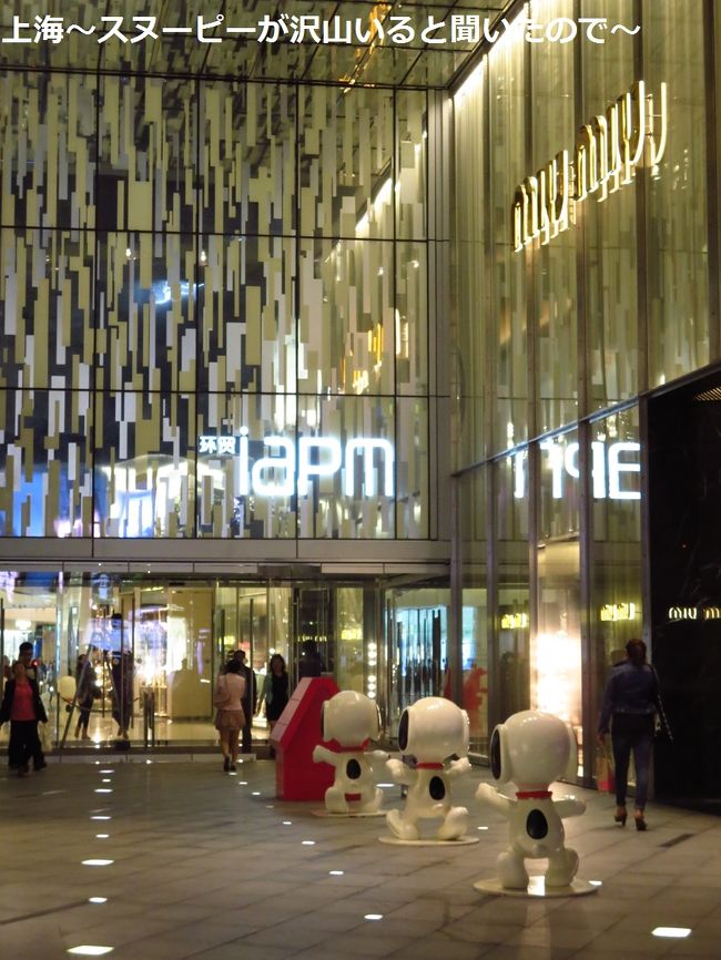 思わず追いかけたくなる後姿です。