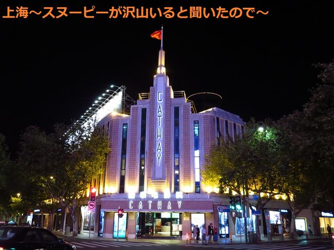 ここから目指すは9号線の馬当路駅です。<br /><br />特に意味は無いですが、ちょうど1時間くらいお散歩できそうな距離だったので、馬当路駅へ出発。